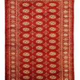 Azhdar – Hand Knotted Wool Rug in Ribbon Red