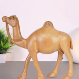 Desert Camel - Sculpture in Wood